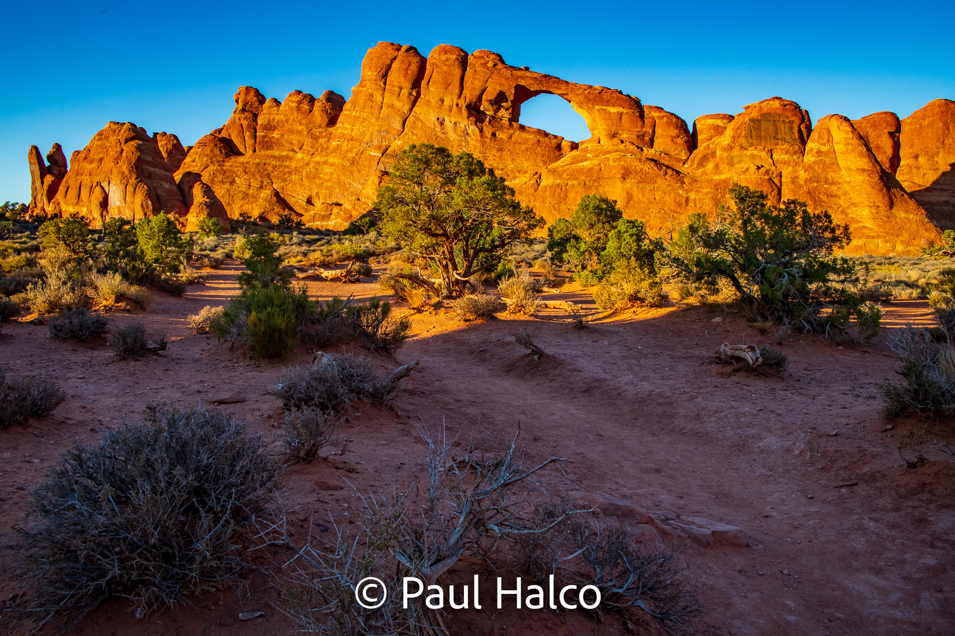 Paul Halco - Arches NP-30